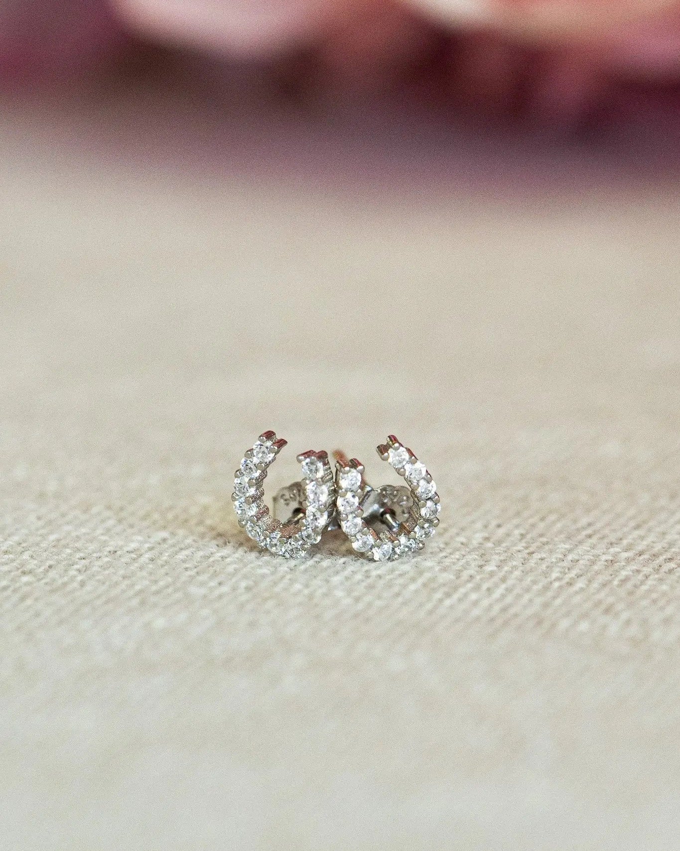 Luxe Horseshoe Earrings - Bridle Up Hope Shop