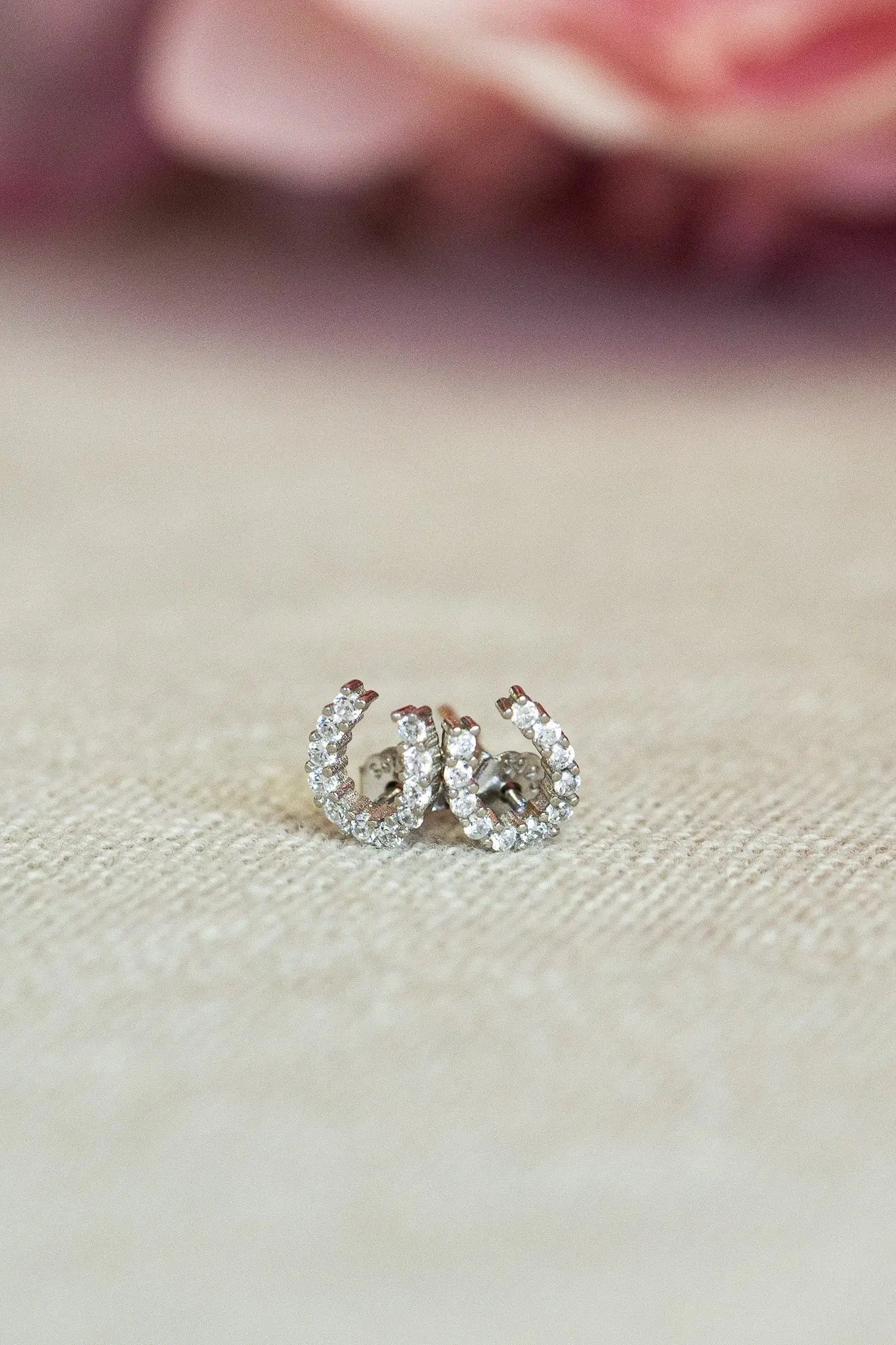 Luxe Horseshoe Earrings - Bridle Up Hope Shop