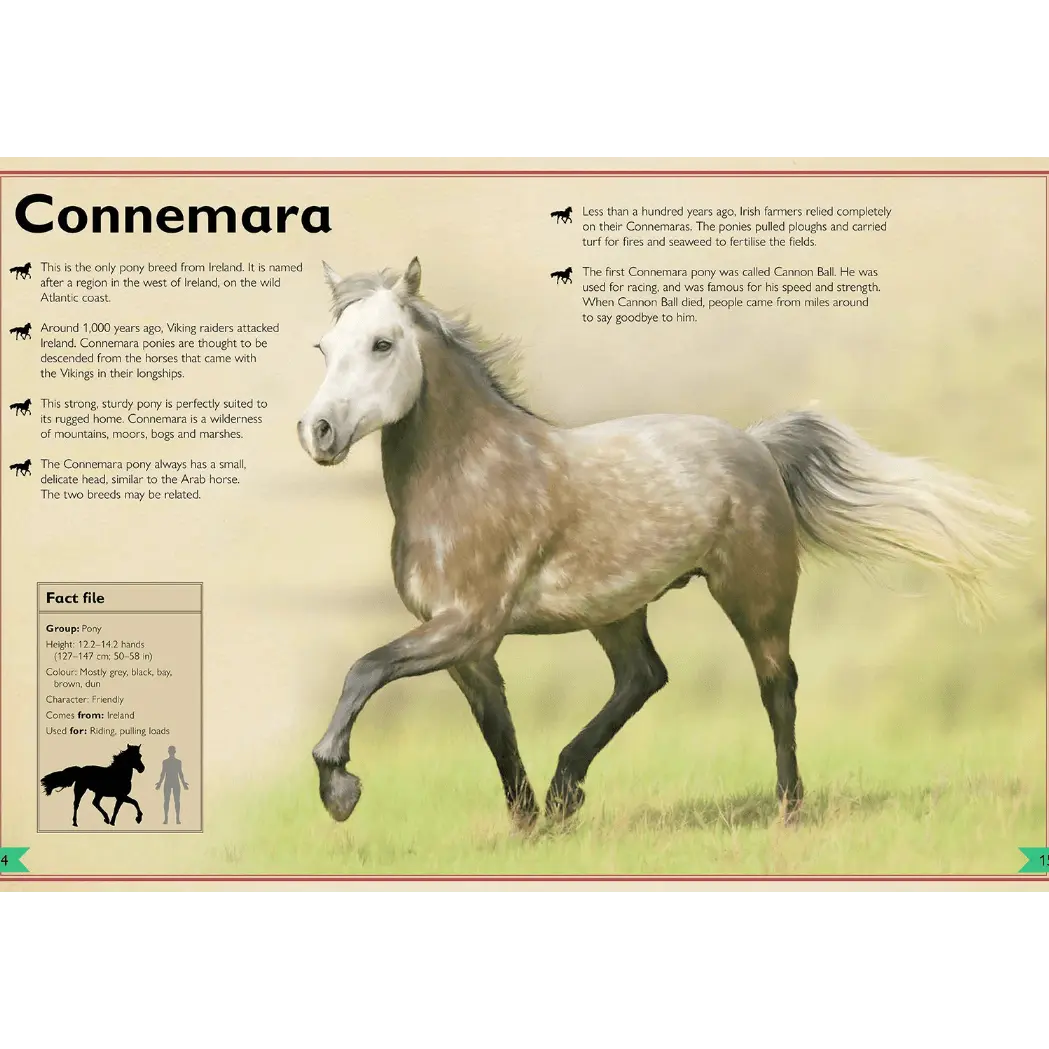 Magnificent Book of Horses - Bridle Up Hope Shop