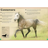 Magnificent Book of Horses - Bridle Up Hope Shop