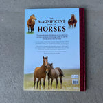 Magnificent Book of Horses - Bridle Up Hope Shop