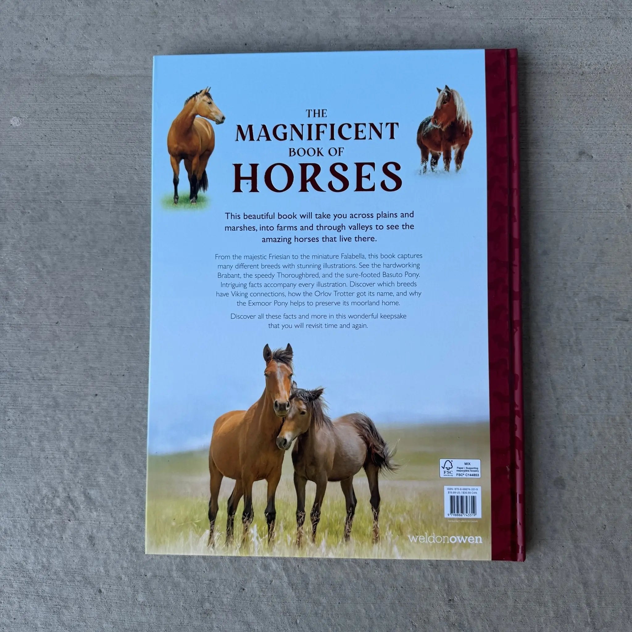 Magnificent Book of Horses - Bridle Up Hope Shop