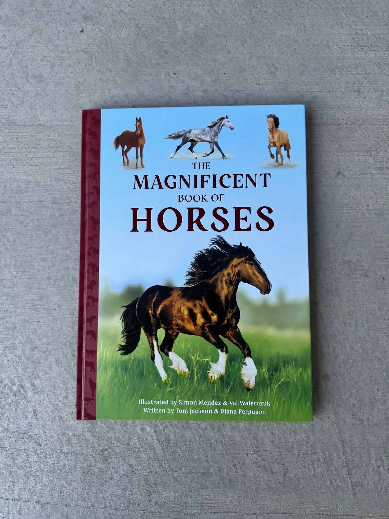Magnificent Book of Horses - Bridle Up Hope Shop
