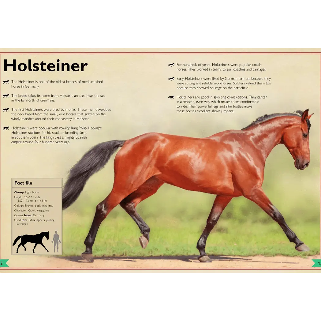 Magnificent Book of Horses - Bridle Up Hope Shop