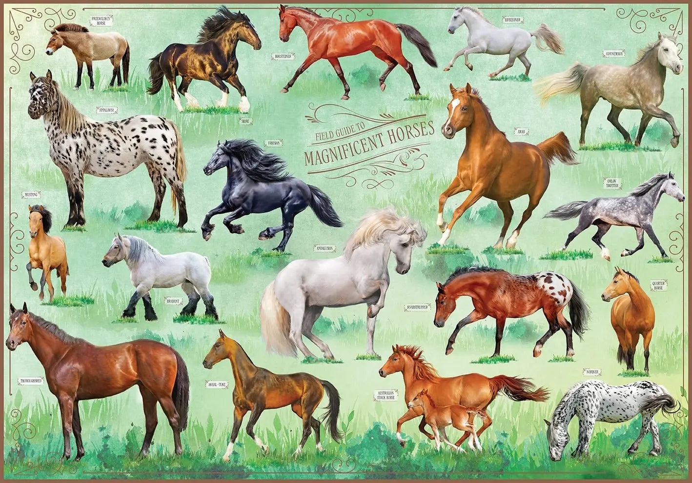 Magnificent Horses Puzzle - Bridle Up Hope Shop
