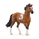 Mangalarga Marchador Horse - Bridle Up Hope Shop