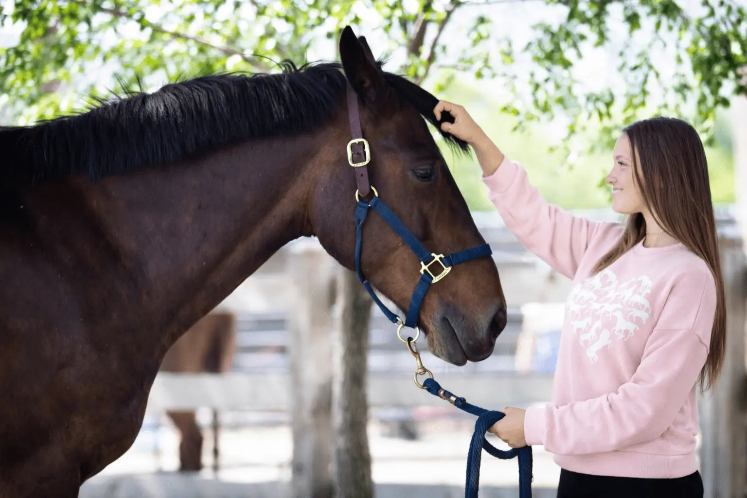 My Love of Horses Sweatshirt - Bridle Up Hope Shop