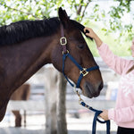 My Love of Horses Sweatshirt - Bridle Up Hope Shop