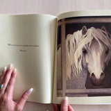 My Pony Book - Bridle Up Hope Shop