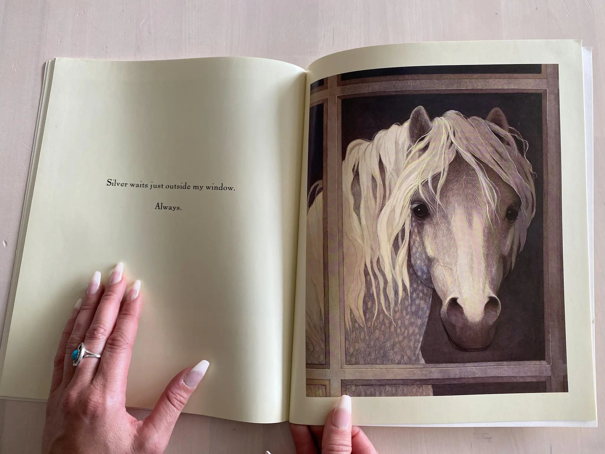 My Pony Book - Bridle Up Hope Shop