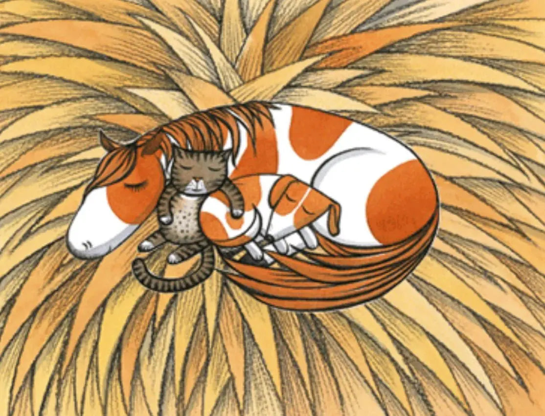 Noni the Pony - Bridle Up Hope Shop