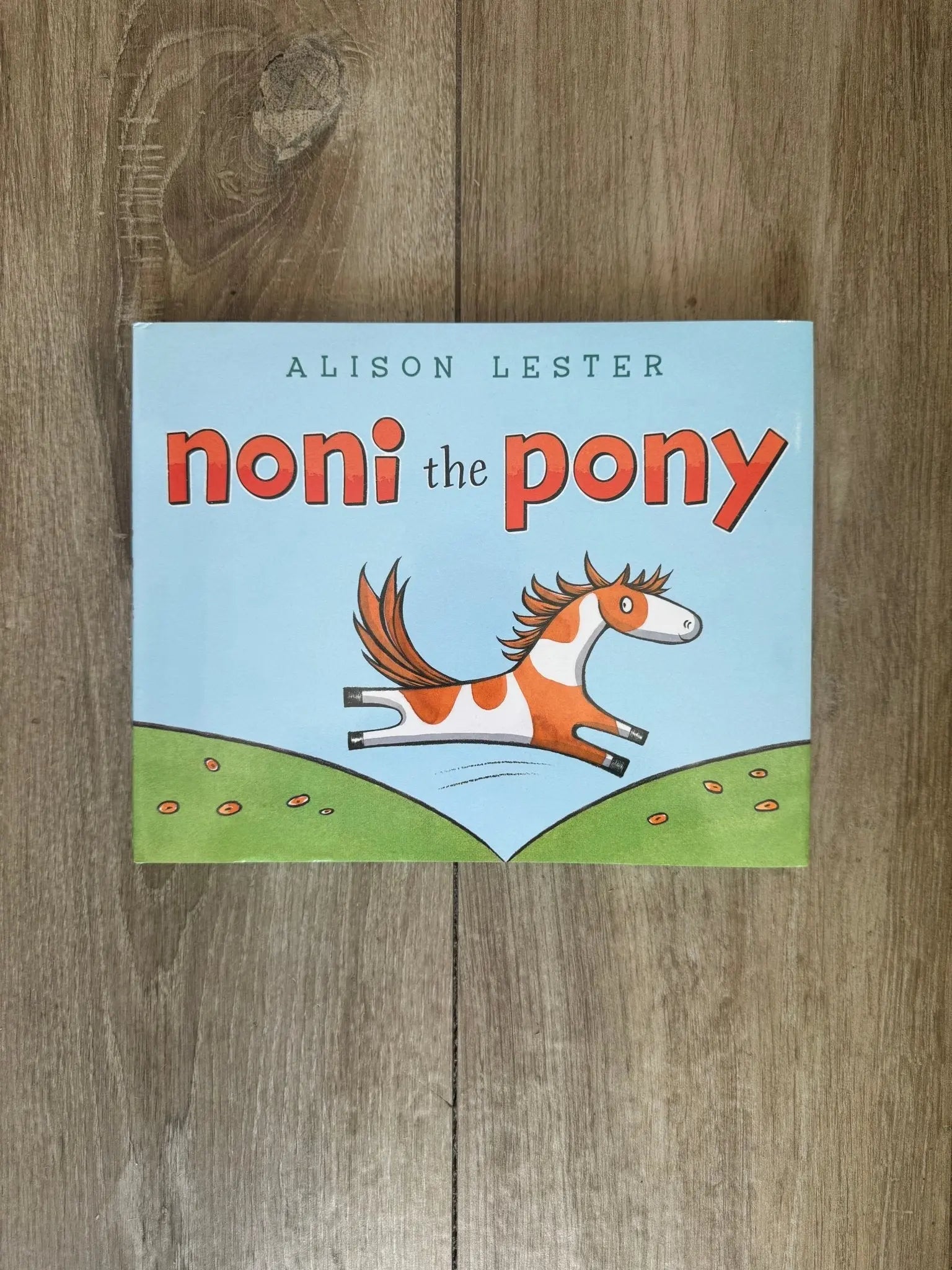 Noni the Pony - Bridle Up Hope Shop
