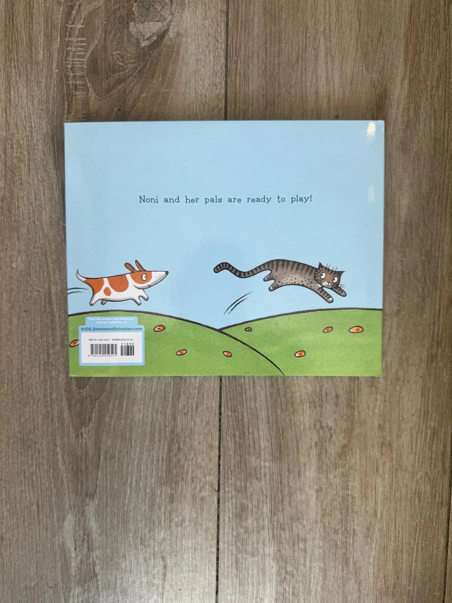 Noni the Pony - Bridle Up Hope Shop