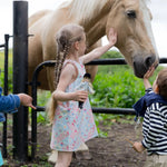 Olivia and Seren Horse Play Set - Bridle Up Hope Shop