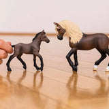 Peruvian Paso Stallion - Bridle Up Hope Shop