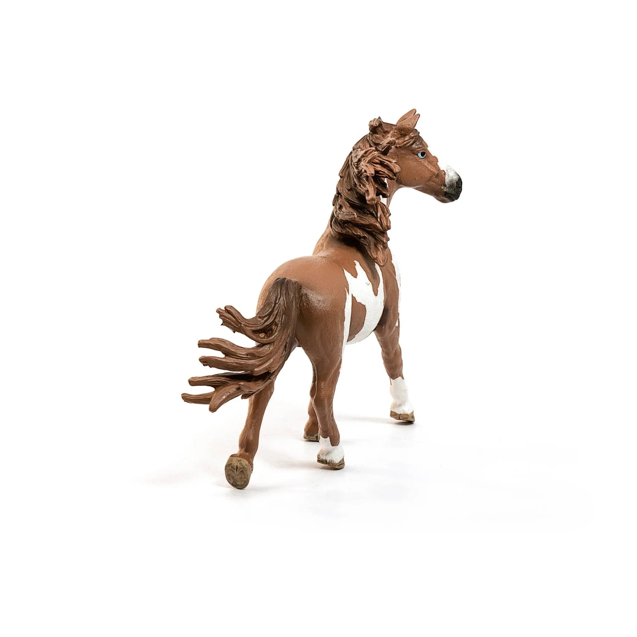 Pinto Stallion - Bridle Up Hope Shop