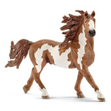 Pinto Stallion - Bridle Up Hope Shop