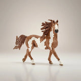 Pinto Stallion - Bridle Up Hope Shop