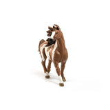 Pinto Stallion - Bridle Up Hope Shop