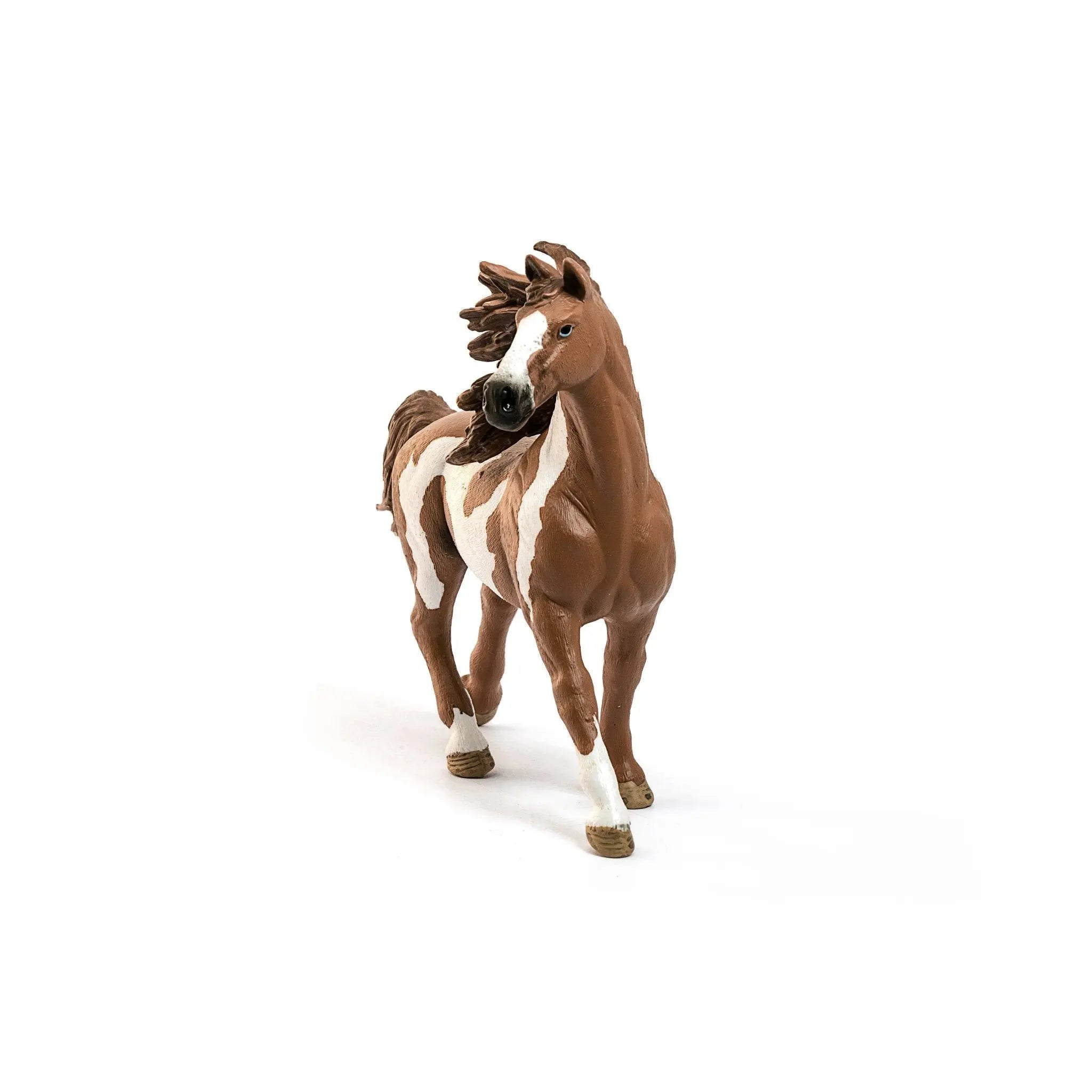 Pinto Stallion - Bridle Up Hope Shop