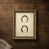 Vintage Horseshoe Study Art