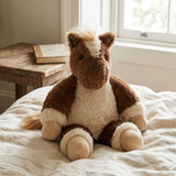 Teddy the Pony