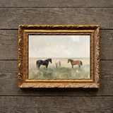 Horses At Rest | Framed Art