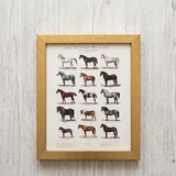 Vintage Horse Chart - Framed Art