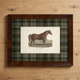 Highland Heritage Horse Art