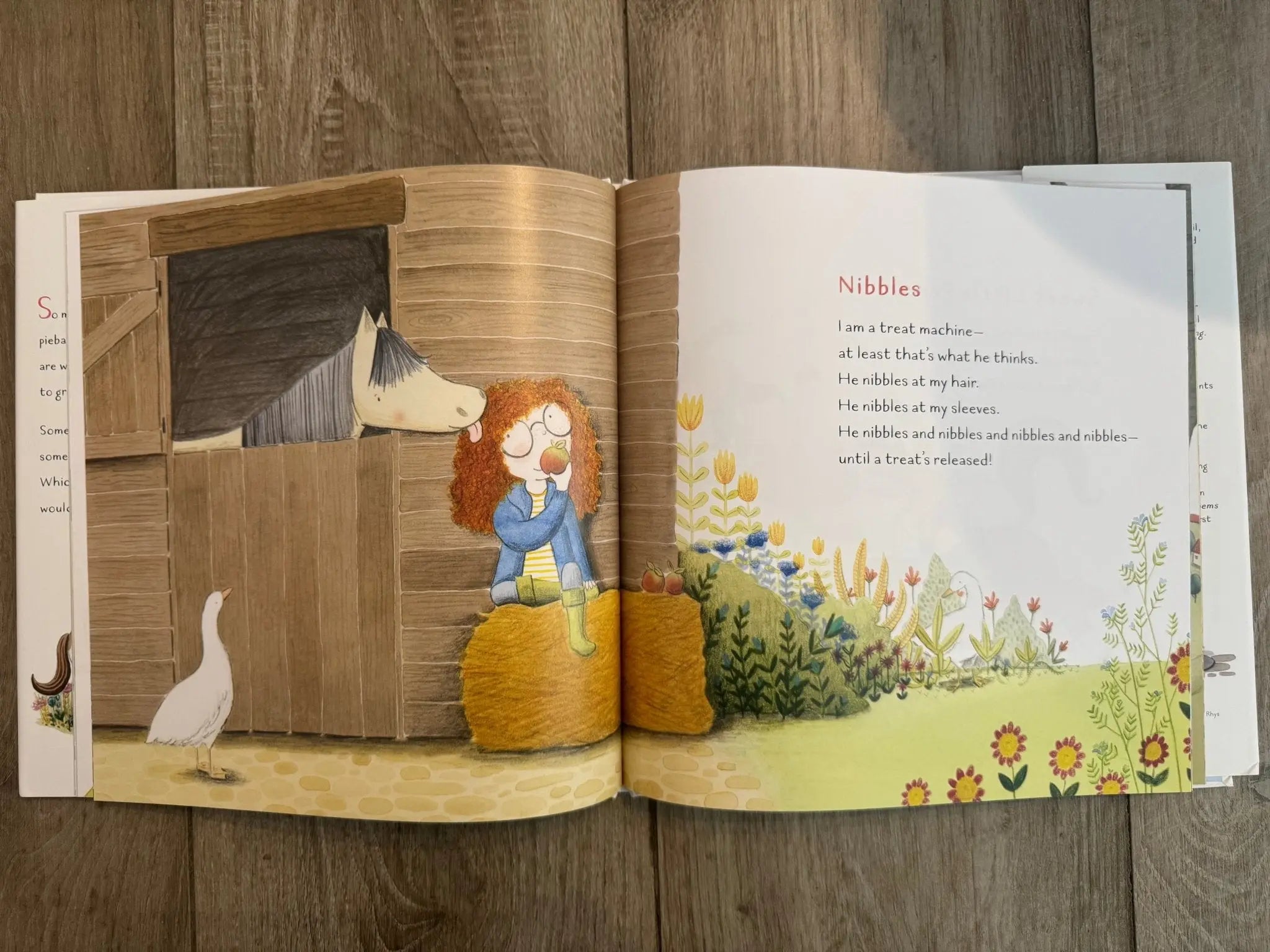 Pony Poems for Little Pony Lovers - Bridle Up Hope Shop