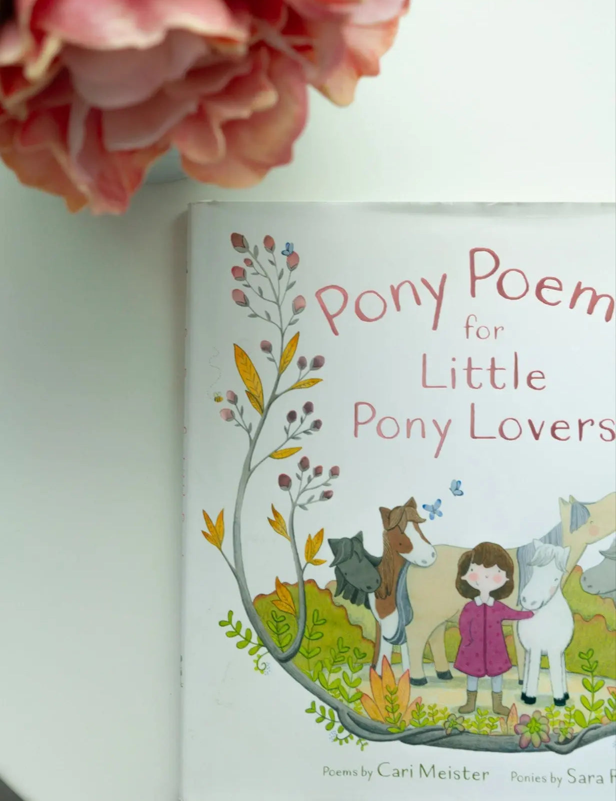 Pony Poems for Little Pony Lovers - Bridle Up Hope Shop