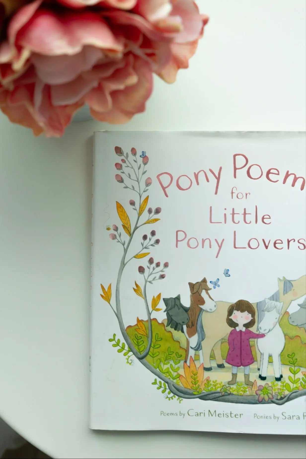 Pony Poems for Little Pony Lovers - Bridle Up Hope Shop