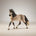 Andalusian Mare