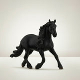 Friesian Stallion