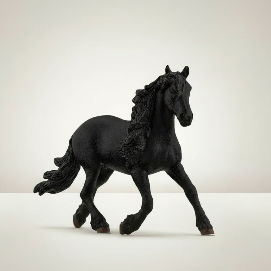 Friesian Stallion