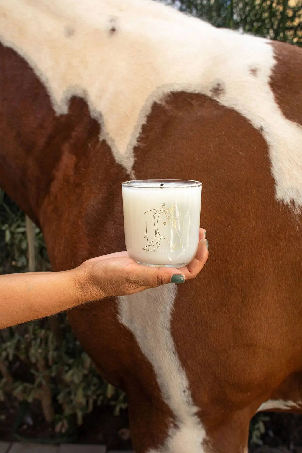 Spirit Horse Soy Wax Candle (10 oz) - Bridle Up Hope Shop