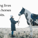 The 7 Habits of Highly Effective People - Bridle Up Hope Shop