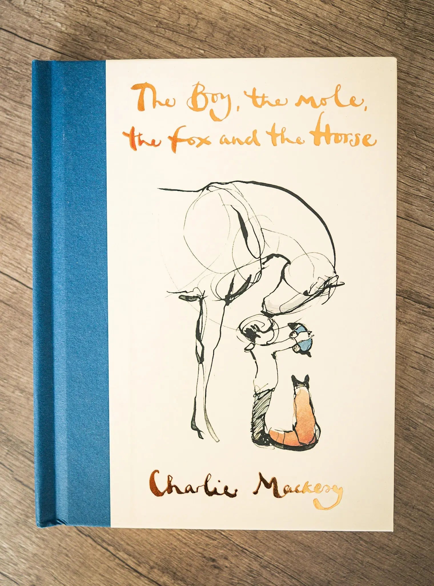 The Boy, The Mole, The Fox & The Horse - Bridle Up Hope Shop