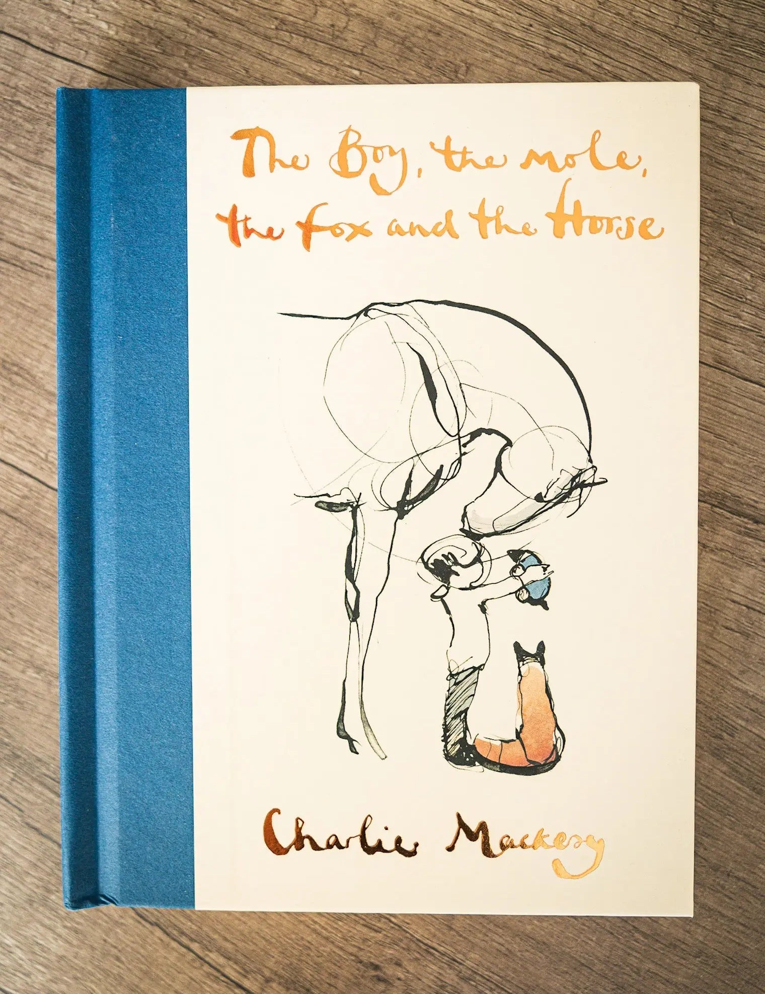 The Boy, The Mole, The Fox & The Horse - Bridle Up Hope Shop
