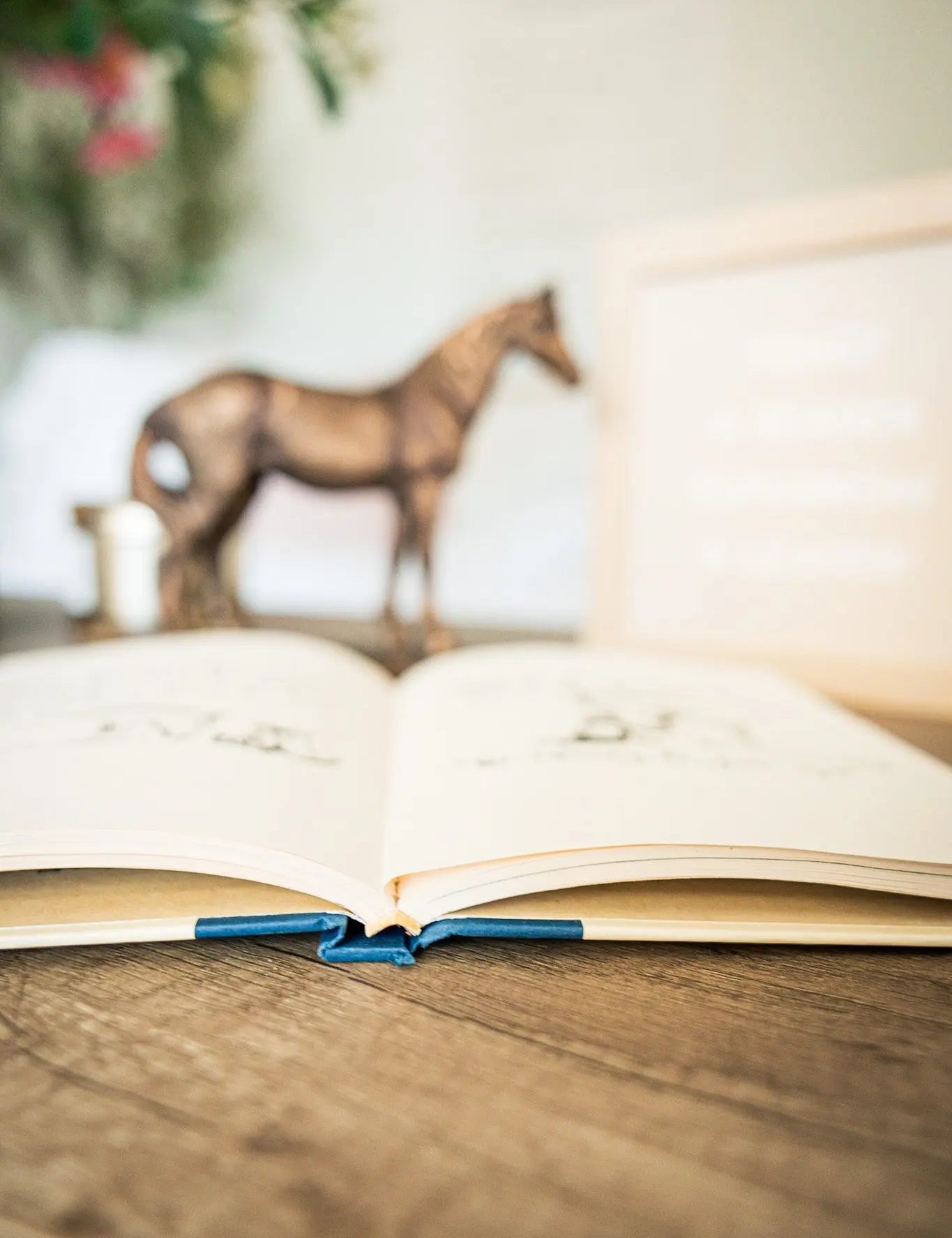 The Boy, The Mole, The Fox & The Horse - Bridle Up Hope Shop