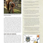 The Original Horse Bible - Bridle Up Hope Shop