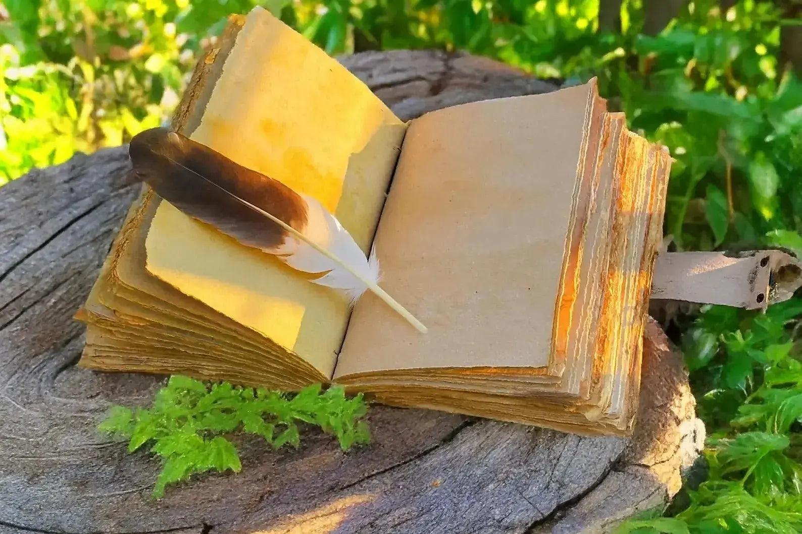 The Painted Horse Journal - Bridle Up Hope Shop
