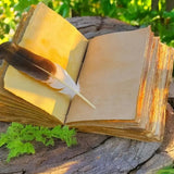 The Painted Horse Journal - Bridle Up Hope Shop