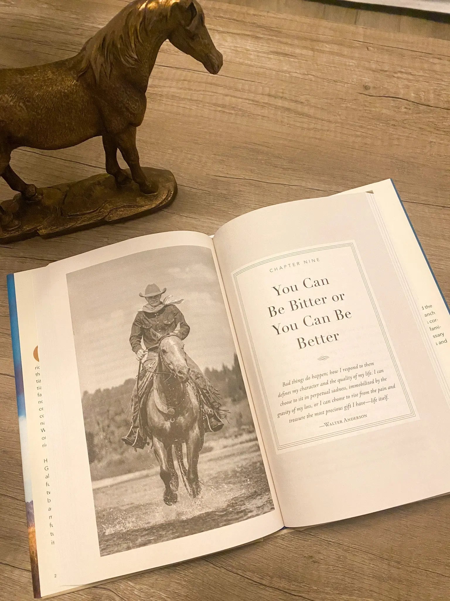 Think Like a Horse - Bridle Up Hope Shop
