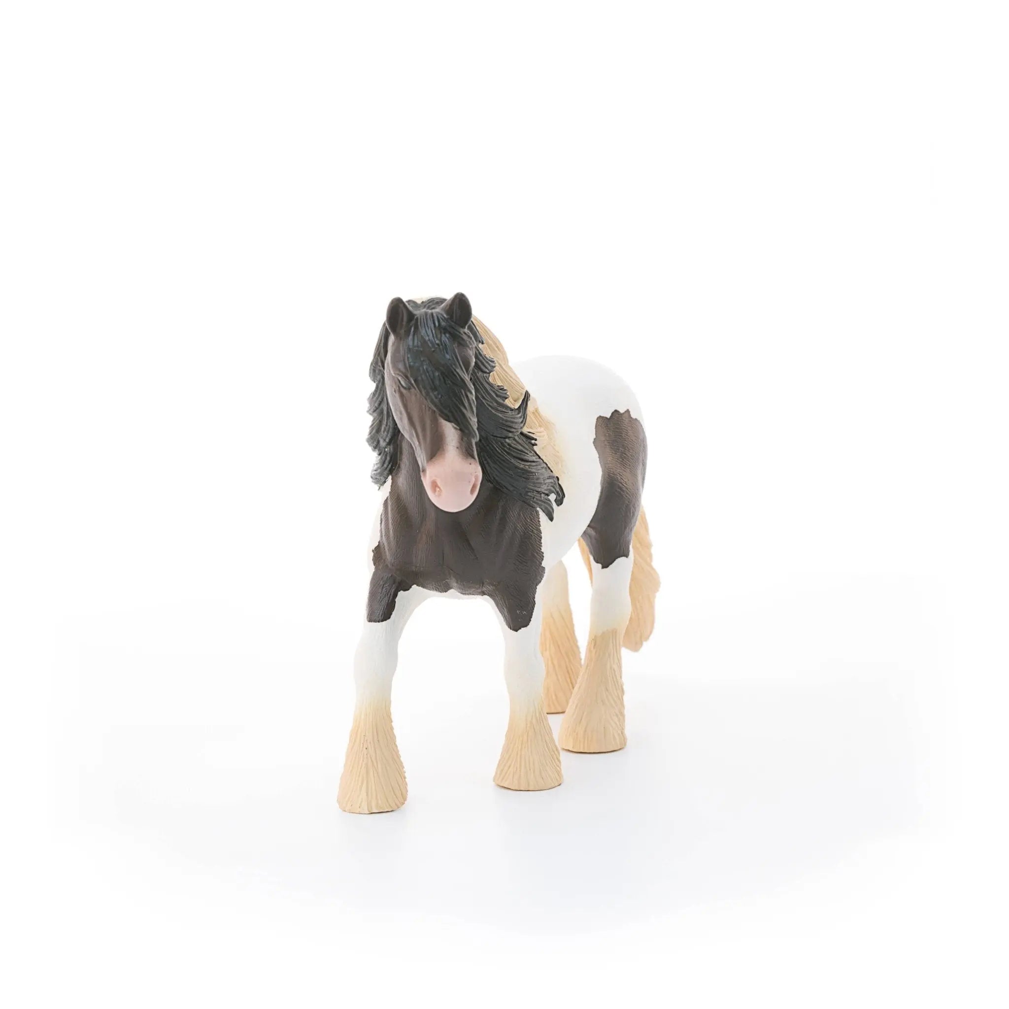Tinker Stallion - Bridle Up Hope Shop