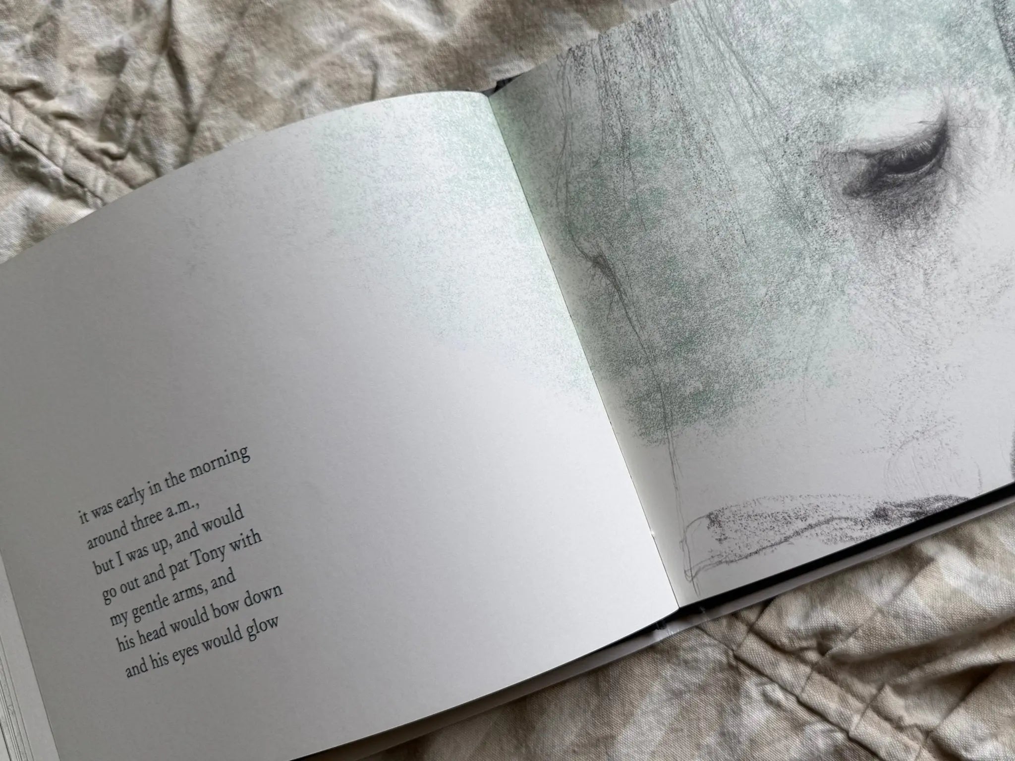 Tony The Horse Book - Bridle Up Hope Shop