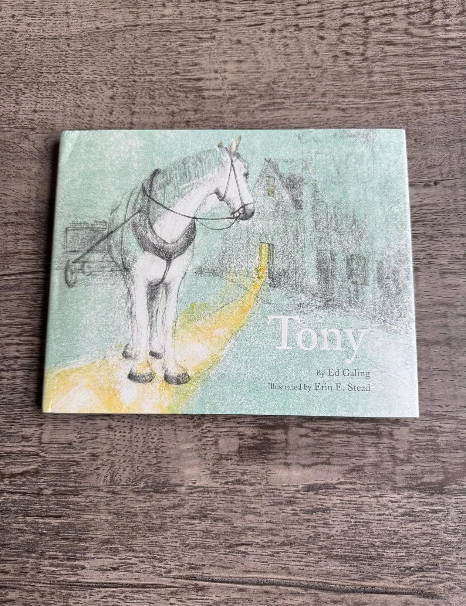 Tony The Horse Book - Bridle Up Hope Shop