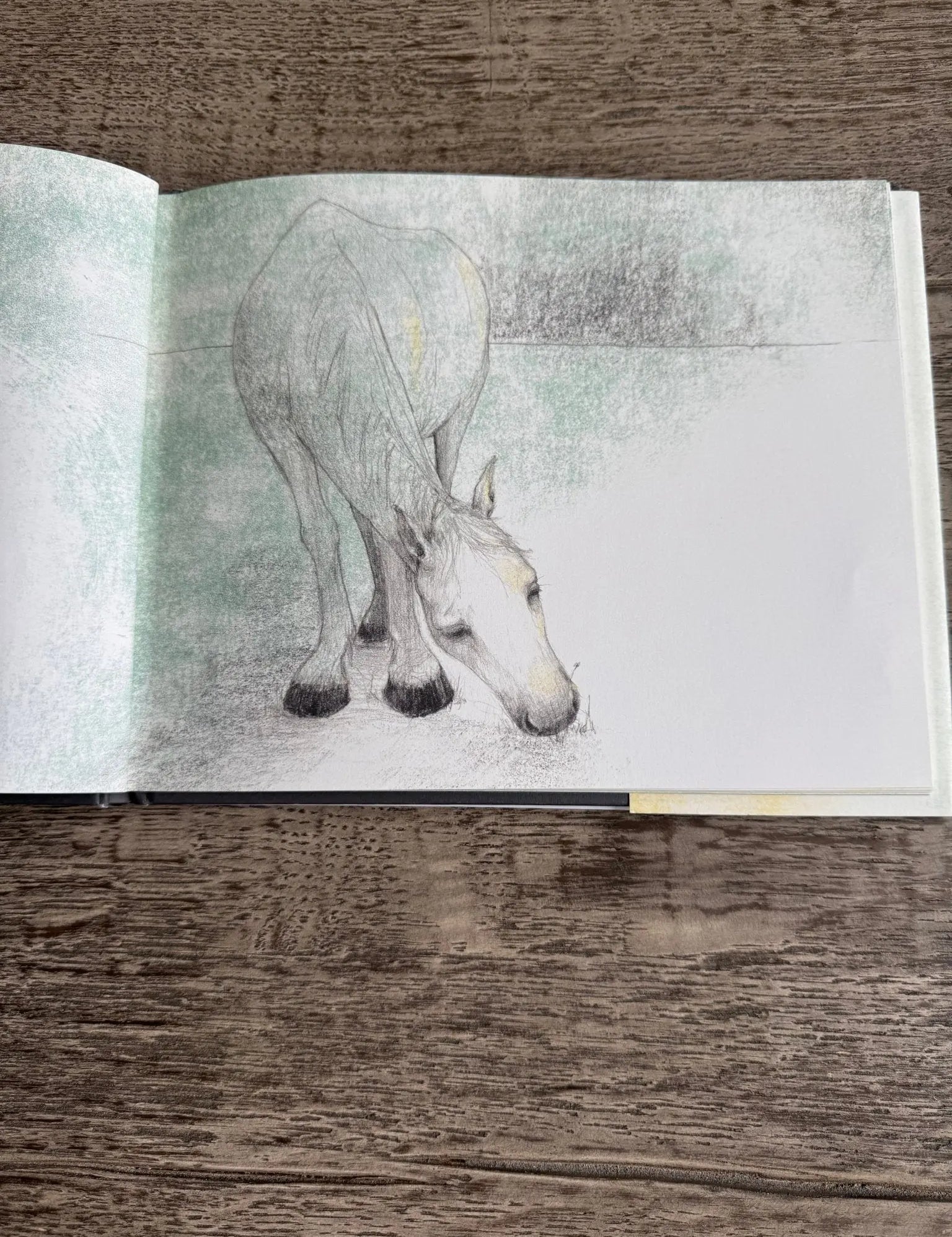 Tony The Horse Book - Bridle Up Hope Shop