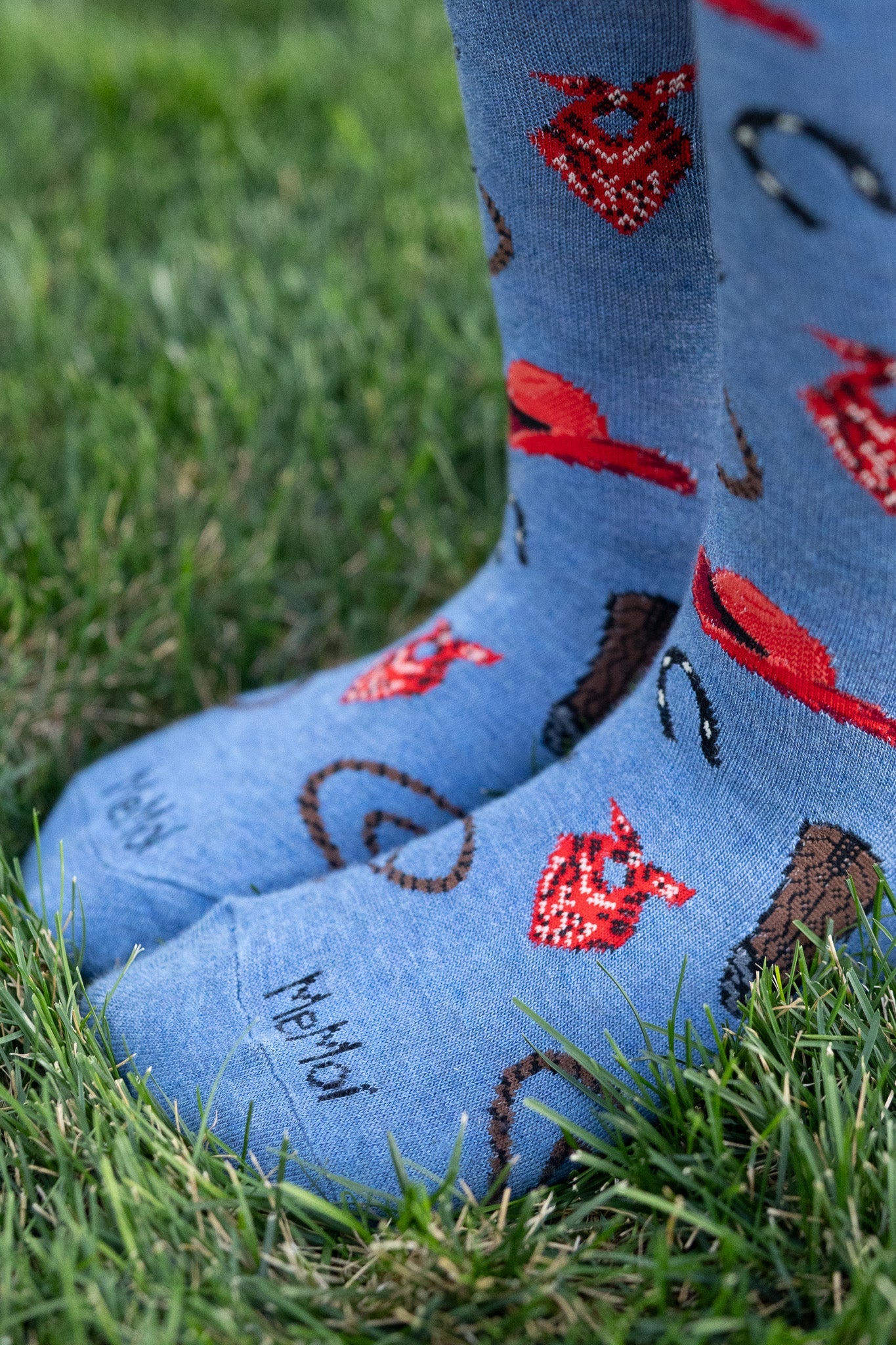 Western Bamboo Socks - Bridle Up Hope Shop