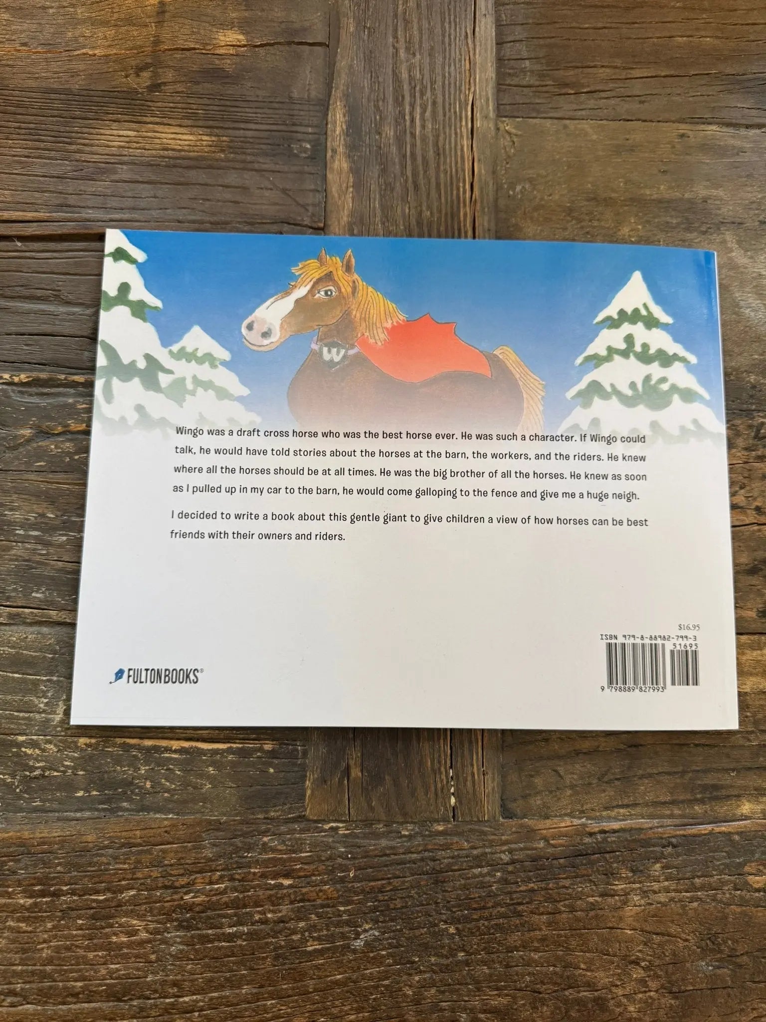 Wingo the Superhero - Bridle Up Hope Shop